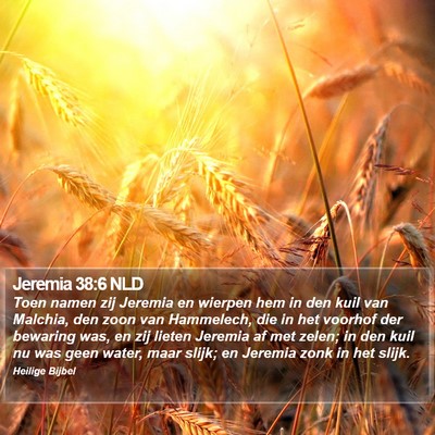 Jeremia 38:6 NLD Bible Verse Image