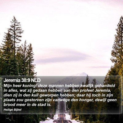 Jeremia 38:9 NLD Bible Verse Image