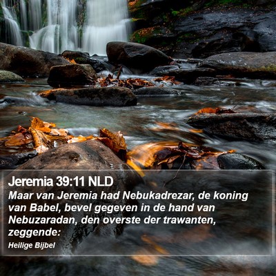 Jeremia 39:11 NLD Bible Verse Image