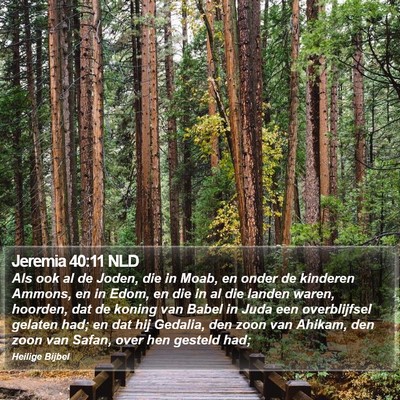 Jeremia 40:11 NLD Bible Verse Image