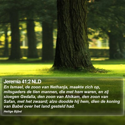Jeremia 41:2 NLD Bible Verse Image