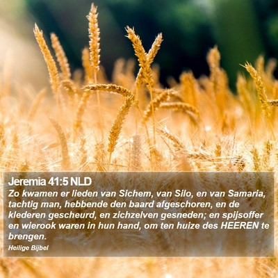 Jeremia 41:5 NLD Bible Verse Image