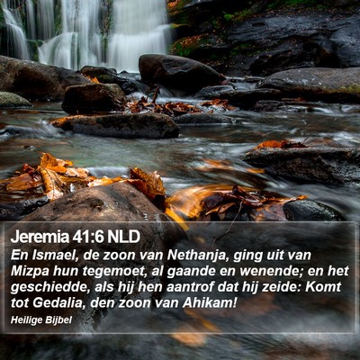 Jeremia 41:6 NLD Bible Verse Image