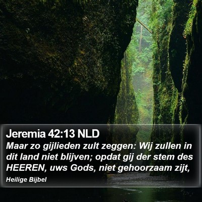 Jeremia 42:13 NLD Bible Verse Image
