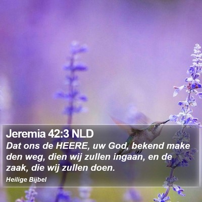 Jeremia 42:3 NLD Bible Verse Image