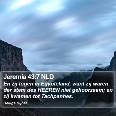 Jeremia 43:7 NLD Bible Verse Image