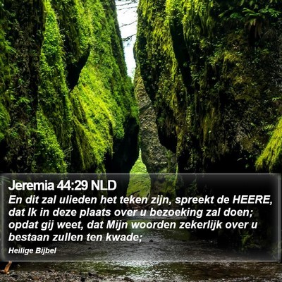 Jeremia 44:29 NLD Bible Verse Image