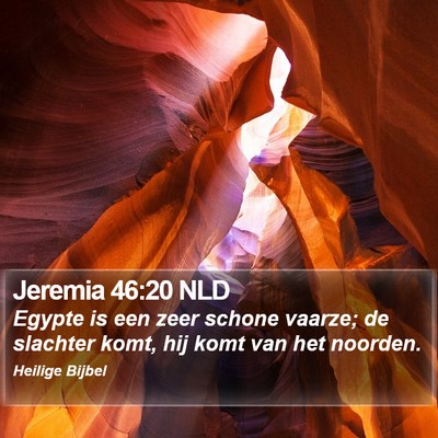 Jeremia 46:20 NLD Bible Verse Image