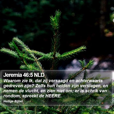 Jeremia 46:5 NLD Bible Verse Image