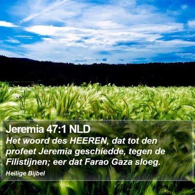 Jeremia 47:1 NLD Bible Verse Image