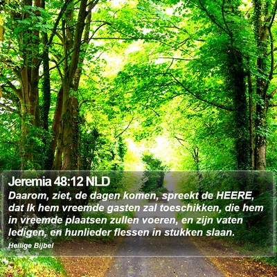 Jeremia 48:12 NLD Bible Verse Image