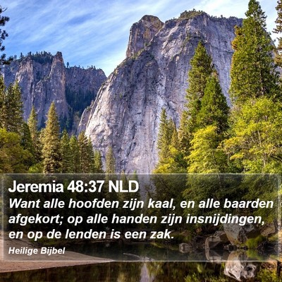 Jeremia 48:37 NLD Bible Verse Image