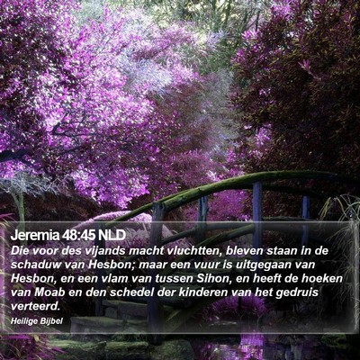 Jeremia 48:45 NLD Bible Verse Image