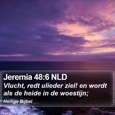 Jeremia 48:6 NLD Bible Verse Image