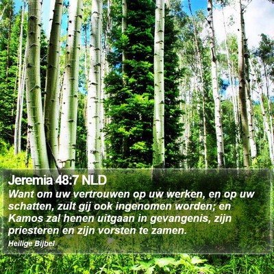 Jeremia 48:7 NLD Bible Verse Image