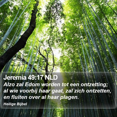 Jeremia 49:17 NLD Bible Verse Image