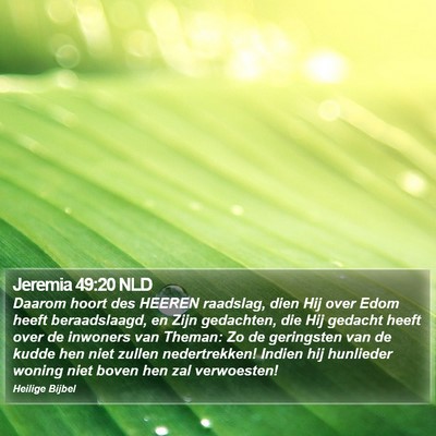 Jeremia 49:20 NLD Bible Verse Image