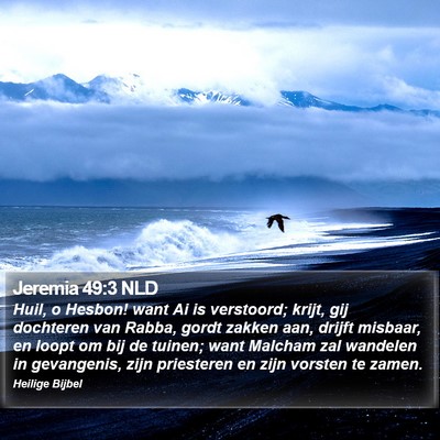 Jeremia 49:3 NLD Bible Verse Image