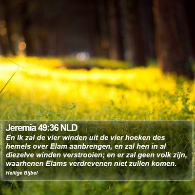 Jeremia 49:36 NLD Bible Verse Image