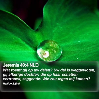 Jeremia 49:4 NLD Bible Verse Image