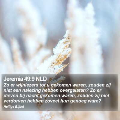 Jeremia 49:9 NLD Bible Verse Image