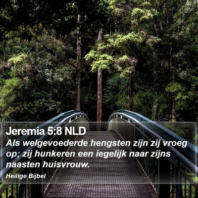Jeremia 5:8 NLD Bible Verse Image