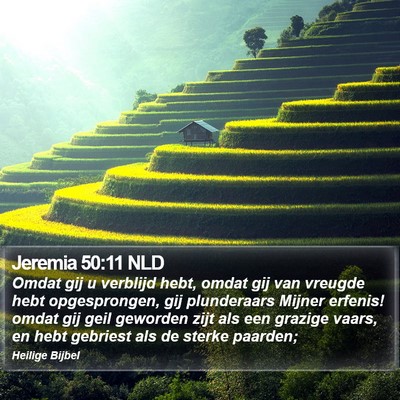 Jeremia 50:11 NLD Bible Verse Image