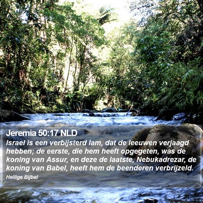 Jeremia 50:17 NLD Bible Verse Image