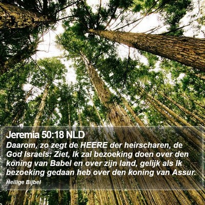 Jeremia 50:18 NLD Bible Verse Image