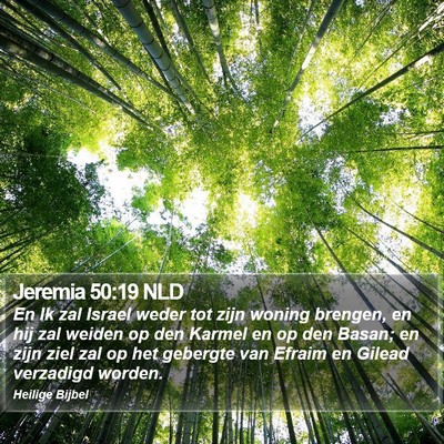 Jeremia 50:19 NLD Bible Verse Image