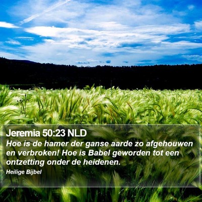 Jeremia 50:23 NLD Bible Verse Image