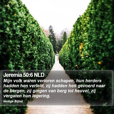Jeremia 50:6 NLD Bible Verse Image