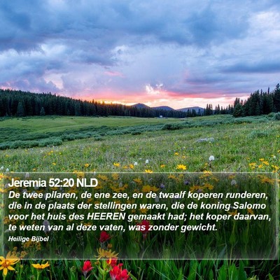 Jeremia 52:20 NLD Bible Verse Image