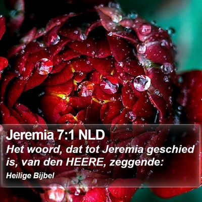 Jeremia 7:1 NLD Bible Verse Image