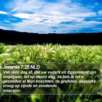 Jeremia 7:25 NLD Bible Verse Image