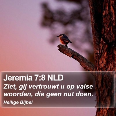 Jeremia 7:8 NLD Bible Verse Image