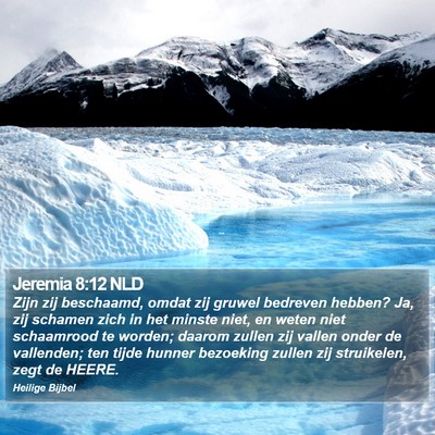 Jeremia 8:12 NLD Bible Verse Image