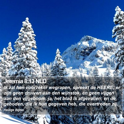 Jeremia 8:13 NLD Bible Verse Image