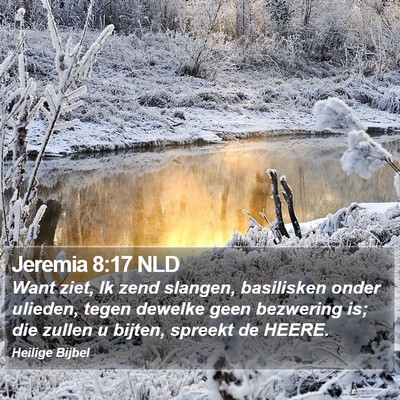 Jeremia 8:17 NLD Bible Verse Image