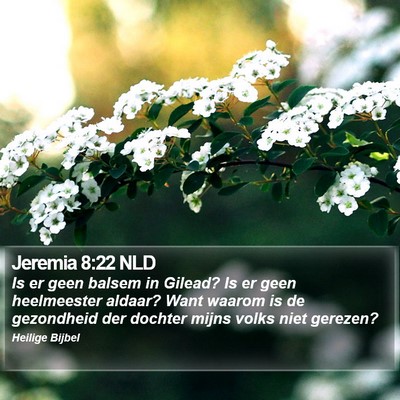 Jeremia 8:22 NLD Bible Verse Image