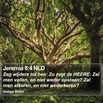 Jeremia 8:4 NLD Bible Verse Image