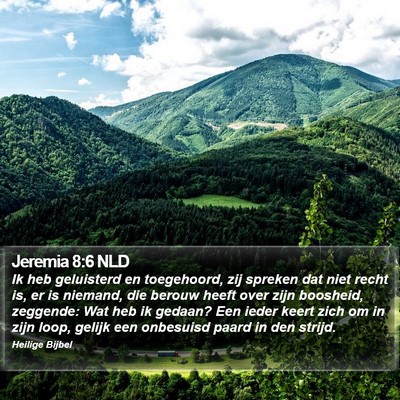 Jeremia 8:6 NLD Bible Verse Image