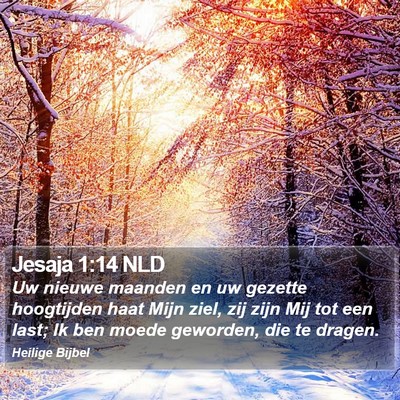 Jesaja 1:14 NLD Bible Verse Image