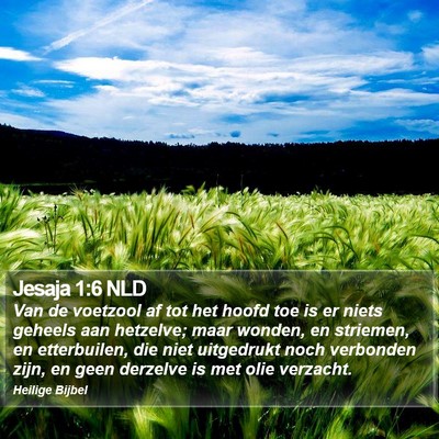 Jesaja 1:6 NLD Bible Verse Image