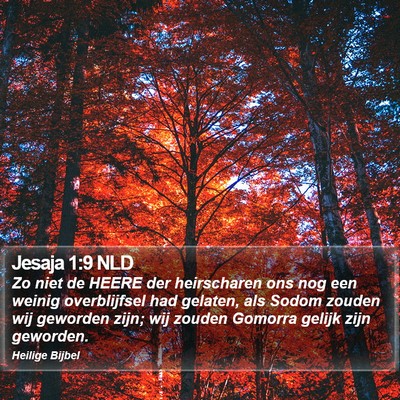 Jesaja 1:9 NLD Bible Verse Image