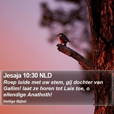 Jesaja 10:30 NLD Bible Verse Image