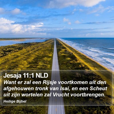 Jesaja 11:1 NLD Bible Verse Image
