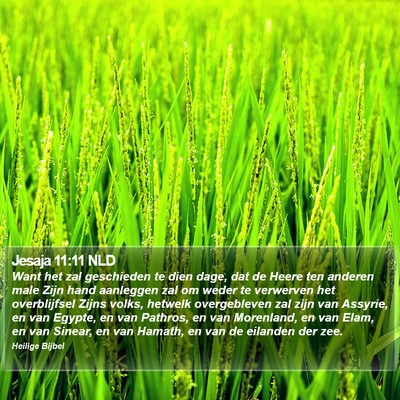 Jesaja 11:11 NLD Bible Verse Image