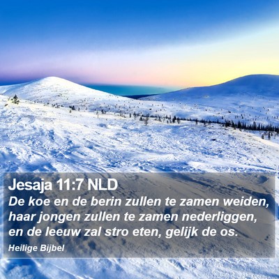 Jesaja 11:7 NLD Bible Verse Image