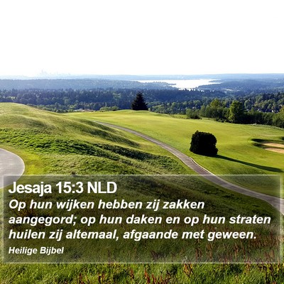 Jesaja 15:3 NLD Bible Verse Image